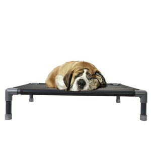 Transform Your Pet's Outdoor Experience with the Four Seasons Outdoor Bed
