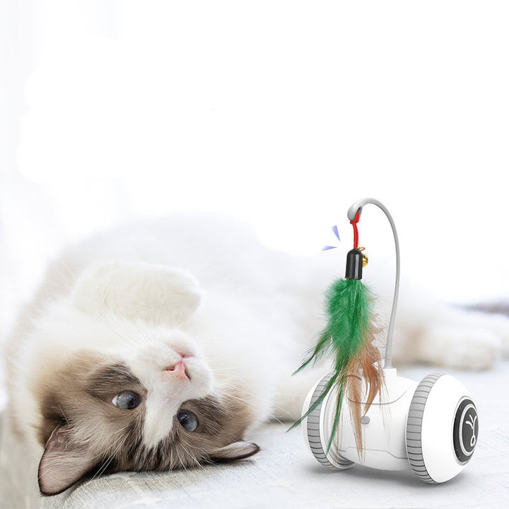Unleash Endless Fun with the Interactive Cat Toy Pet Feather Toys!