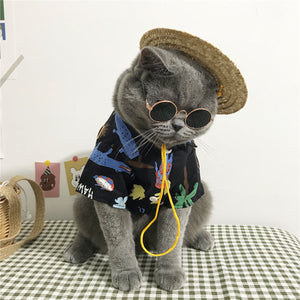 Dress Your Cat in Style: The Ultimate Summer Cat Clothes