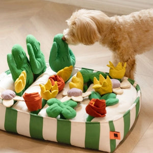 Unlock Your Dog's Potential with Our Educational Toys!