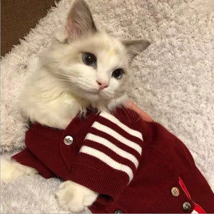 Elevate Your Cat's Style with Our Adorable Pet Clothes!