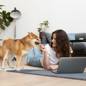 Creating a Cozy Space for Your Pet