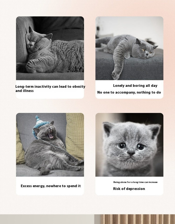 Unleash Fun with Our Cat's Paw Laser Toys!