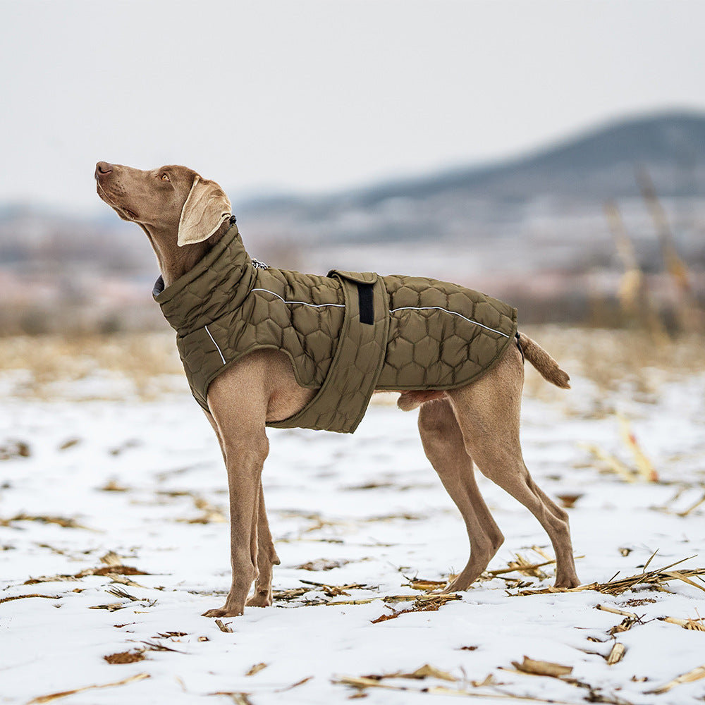 Keep Your Pup Cozy with Our Winter Pet Clothing
