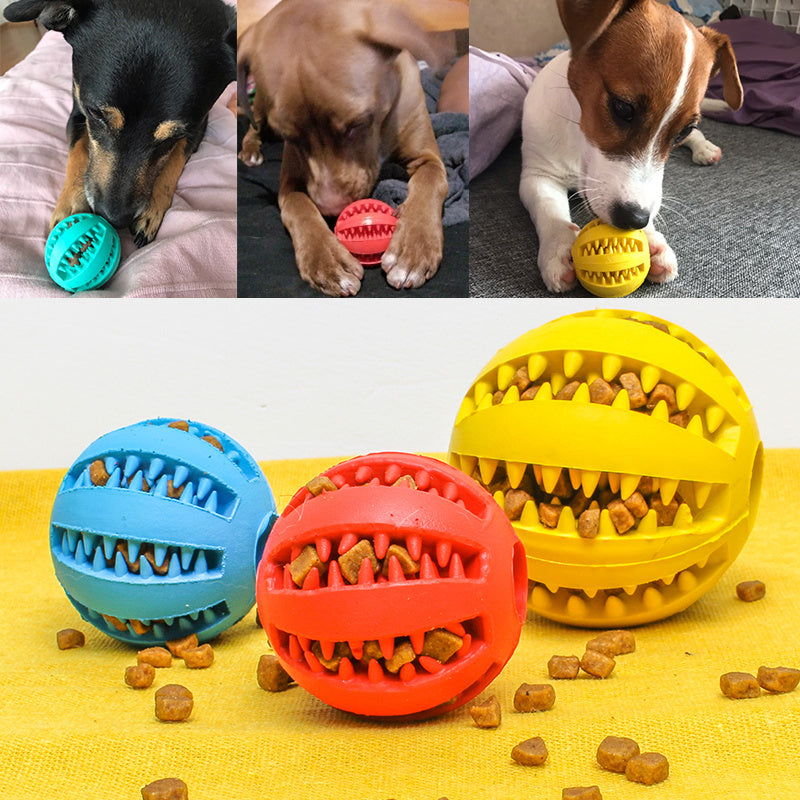 Pet Slow Feeder Toy