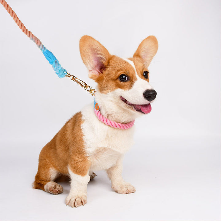 Pet Dog Leash Collar Set
