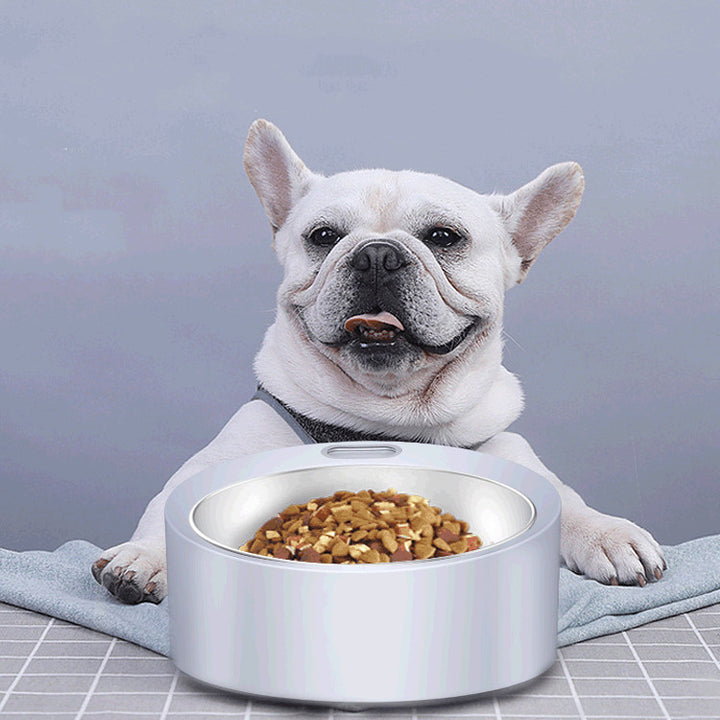 Dog Food Bowl Pet Feeder