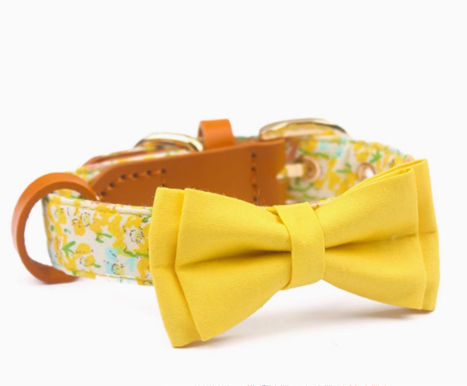 Cowhide Holding Leashe