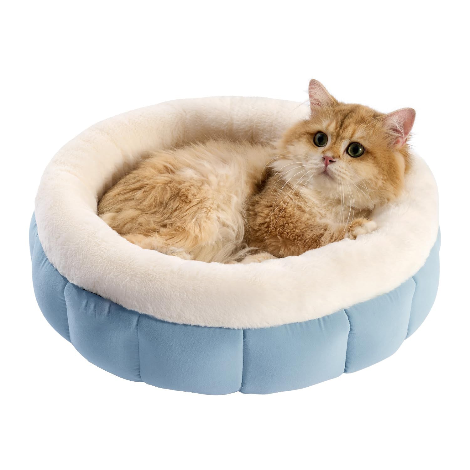 Donut Dog Beds For Small Dog