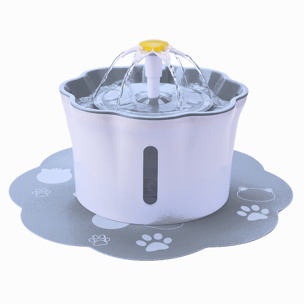 Water feeding for pet