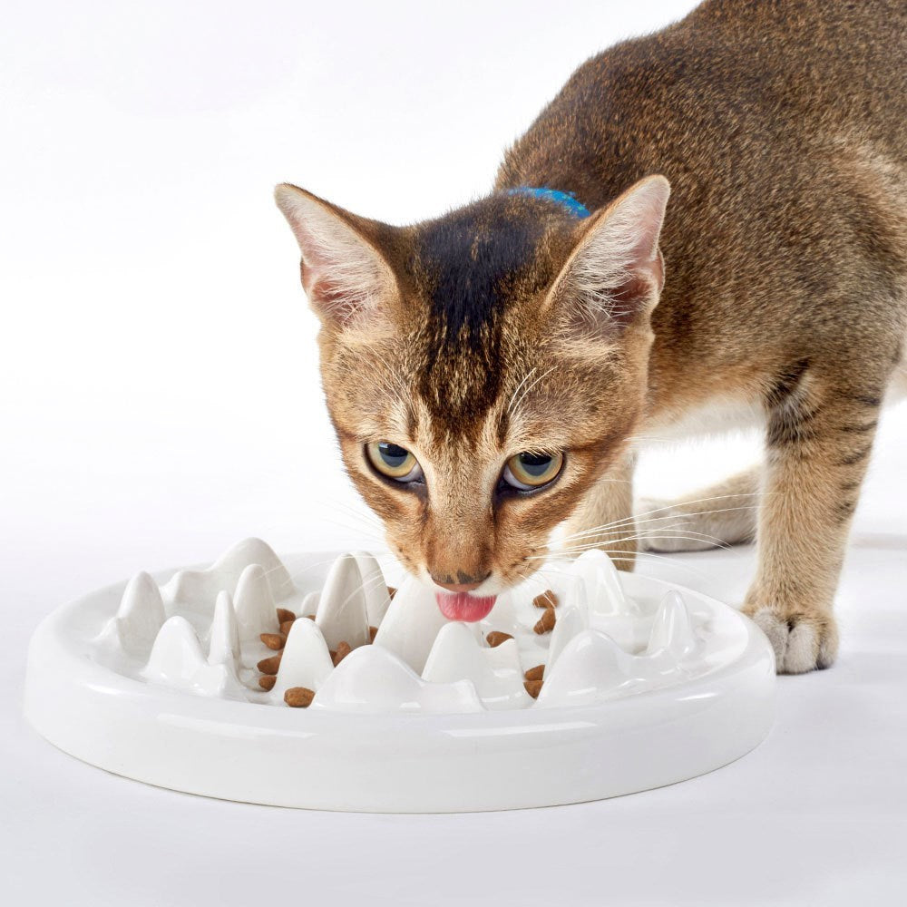 Slow Food Ceramic Pet Bowl