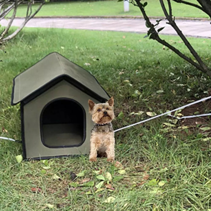 Pet House Outdoor Kennel