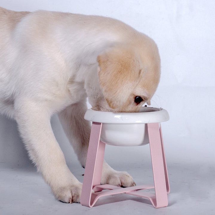 Pet Bowls Creative Feeding Bowl