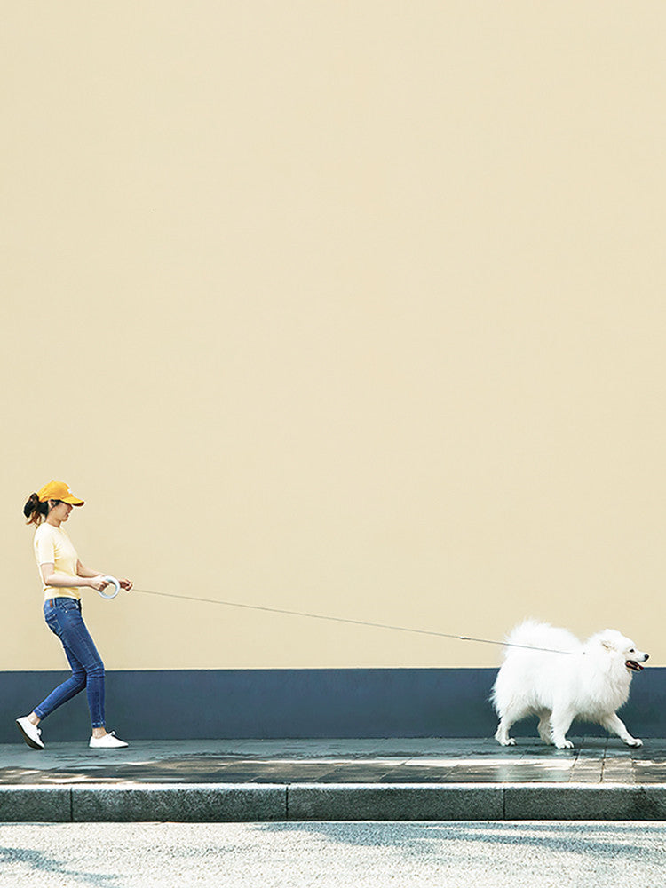 UFO Retractable Leash