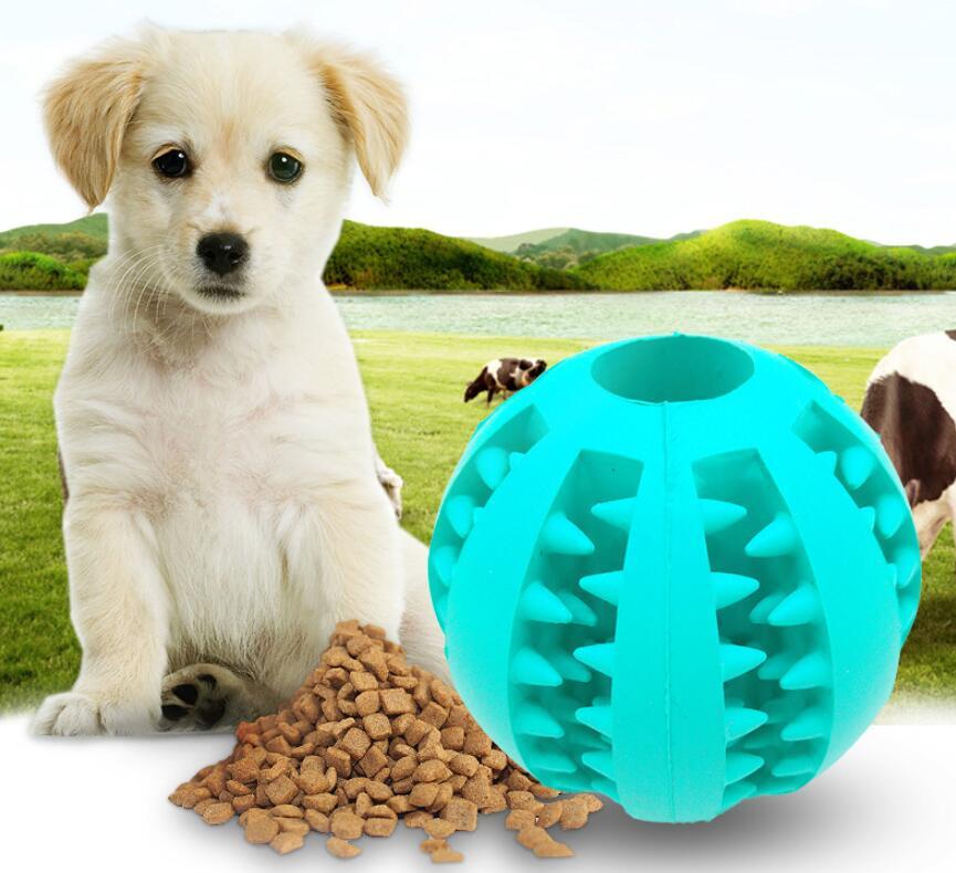 Pet Slow Feeder Toy