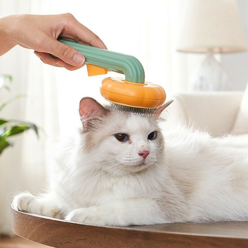 Pet Grooming Self Cleaning Brush