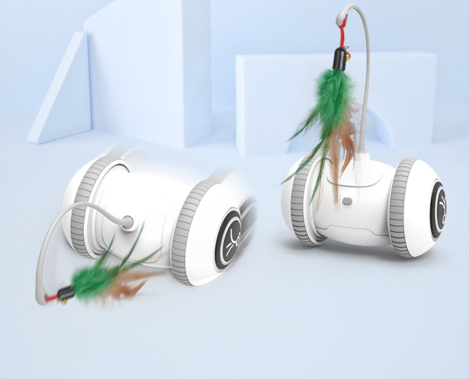 Interactive Cat Toy Pet Feather Toys