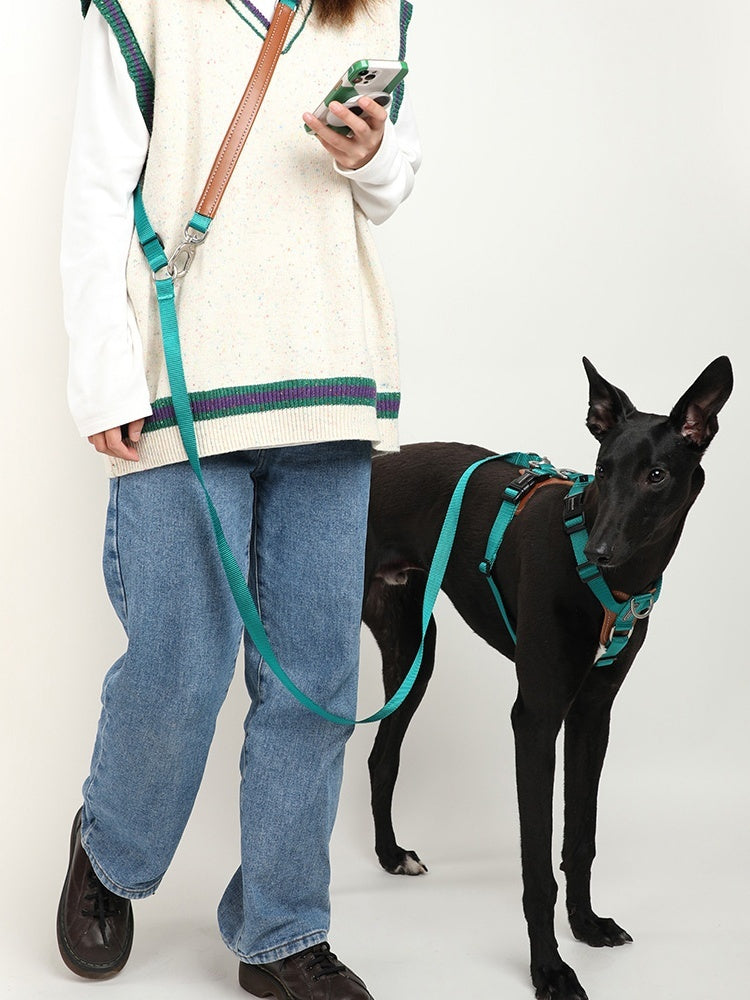 Pet Dog Traction Rope