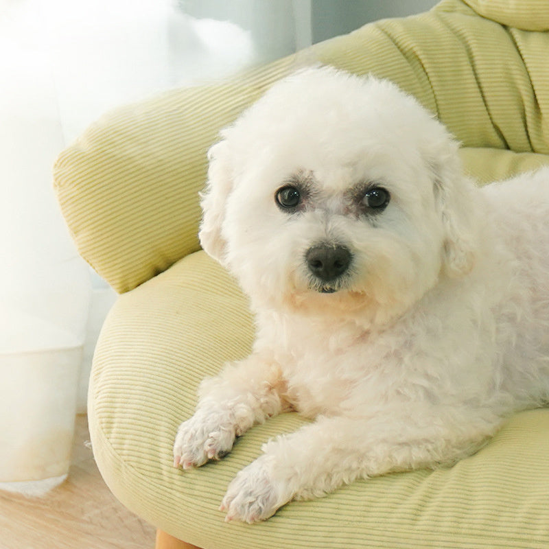 Universal Bed For Cats
