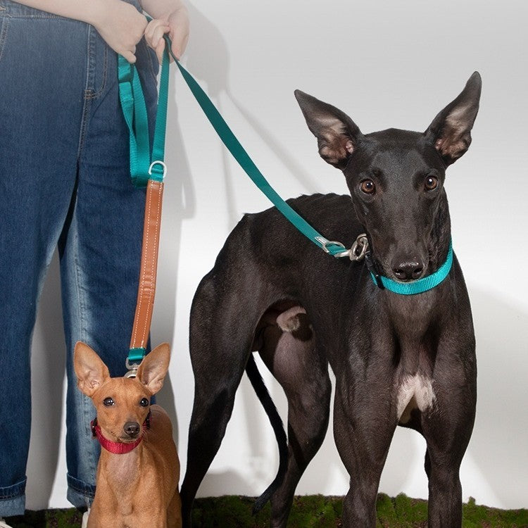 Pet Dog Traction Rope