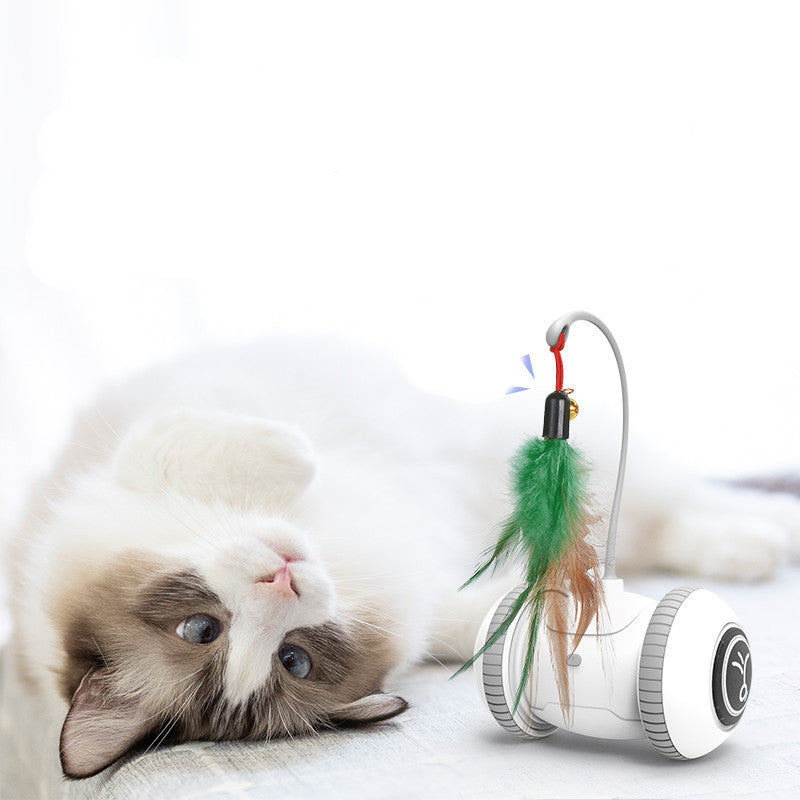 Interactive Cat Toy Pet Feather Toys