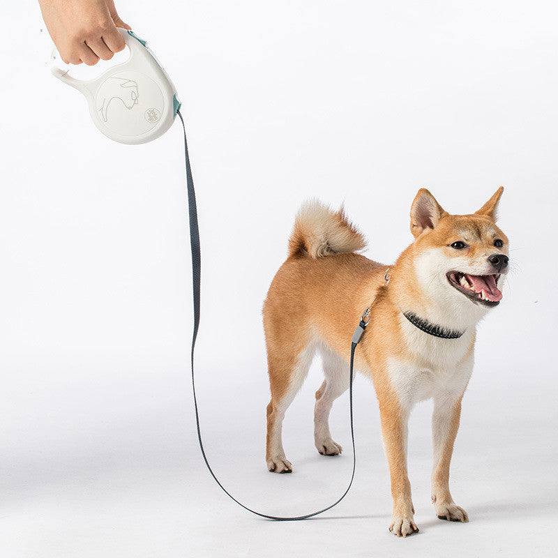 Pet Retractable Leash