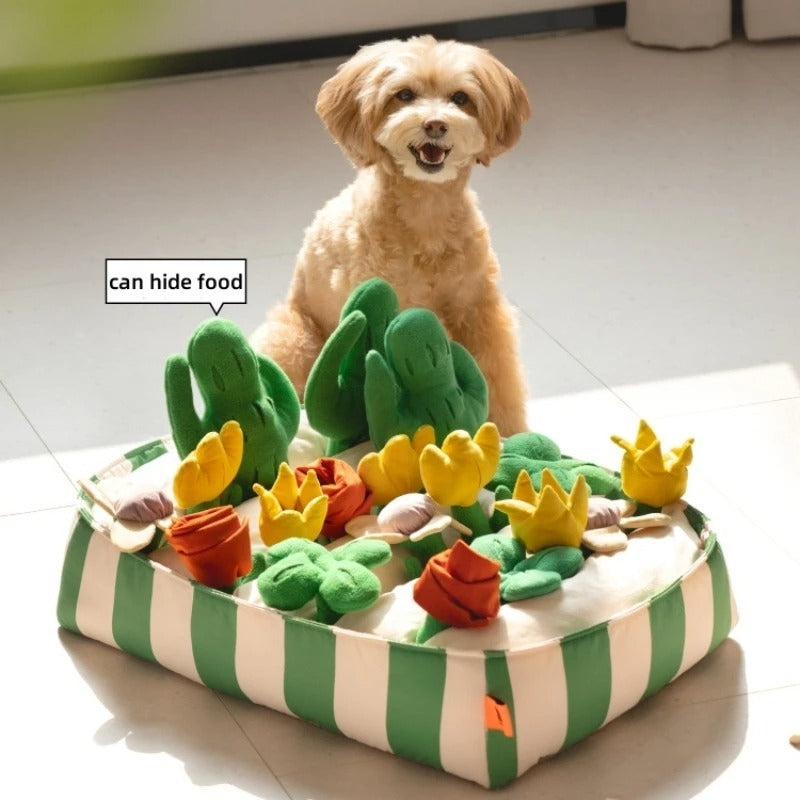 Pet Dog Food Educational Toys
