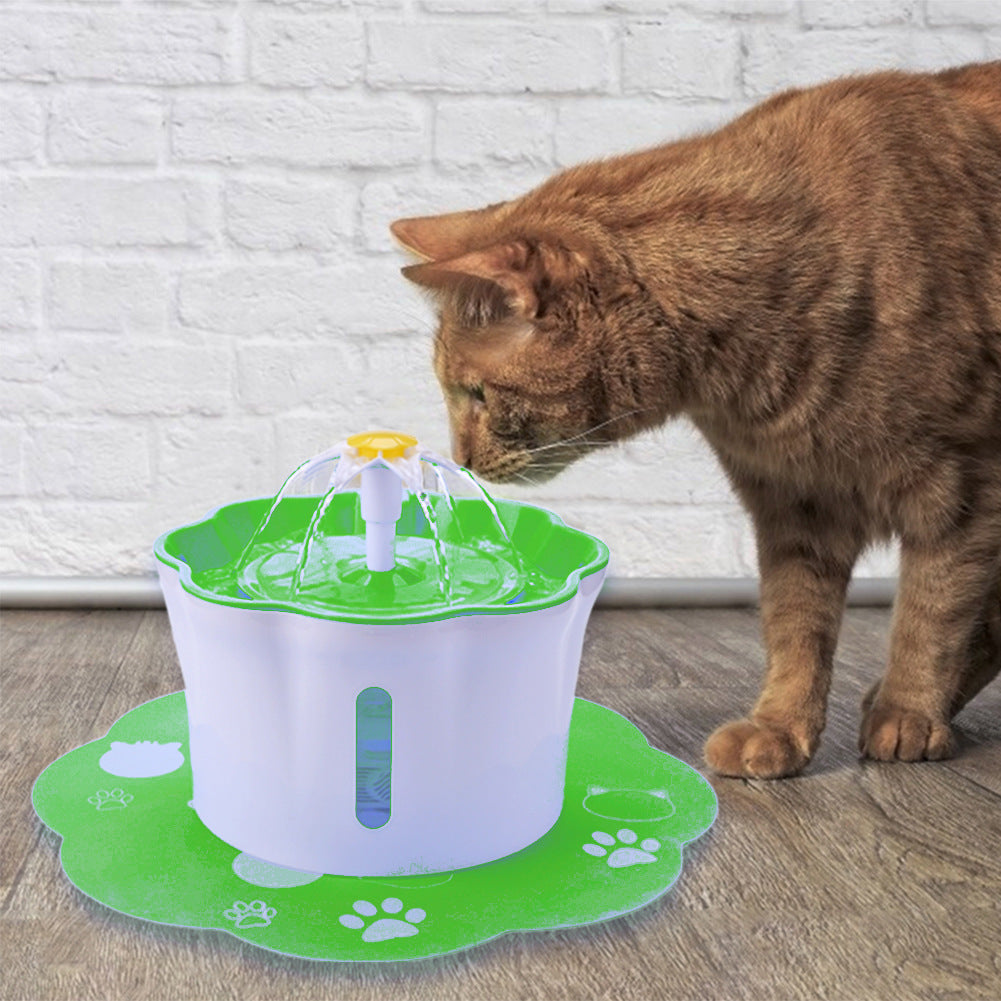 Water feeding for pet