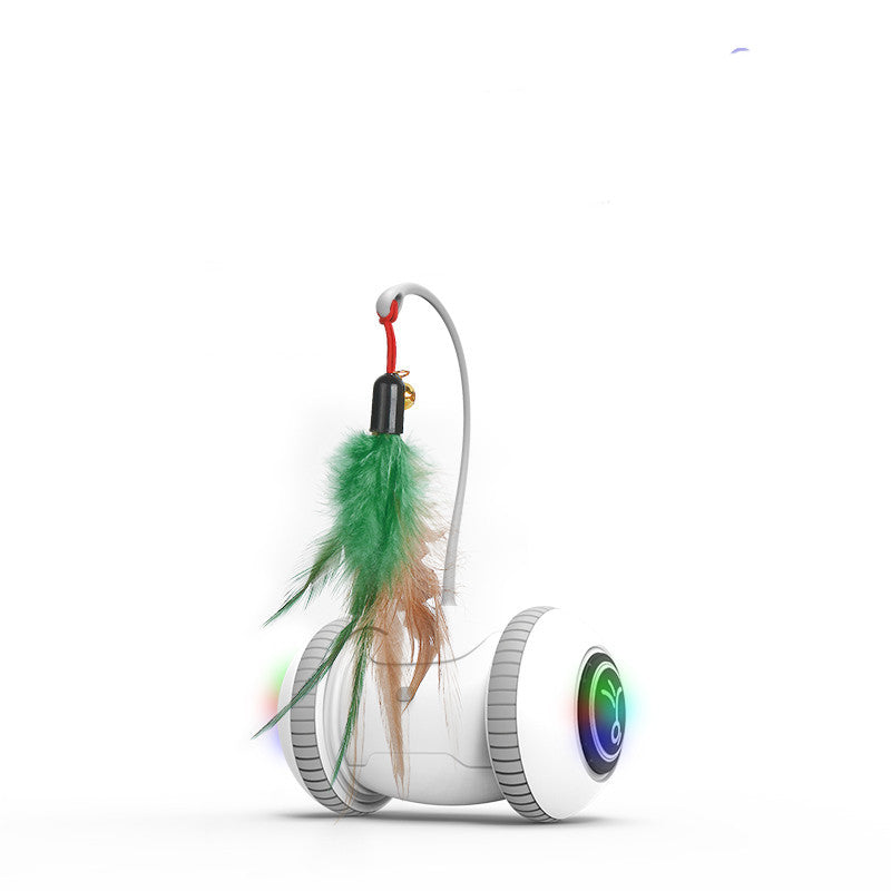 Interactive Cat Toy Pet Feather Toys