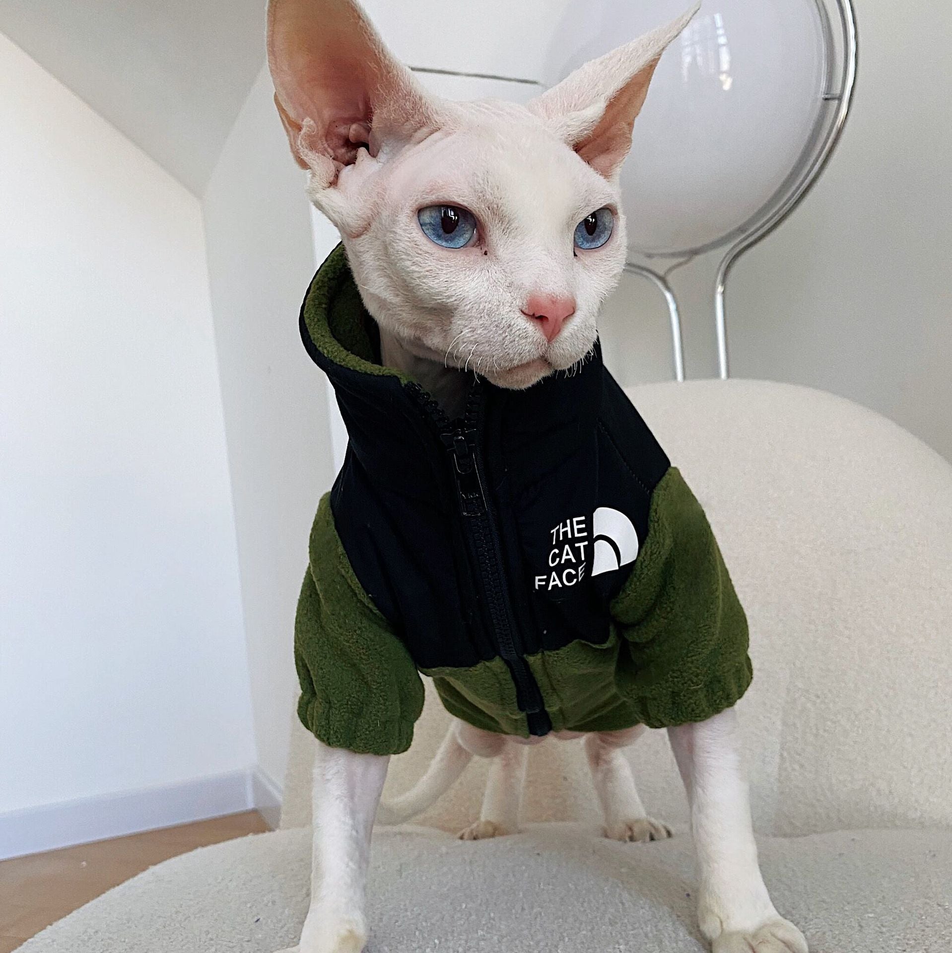 Warm Pet Cat Clothes