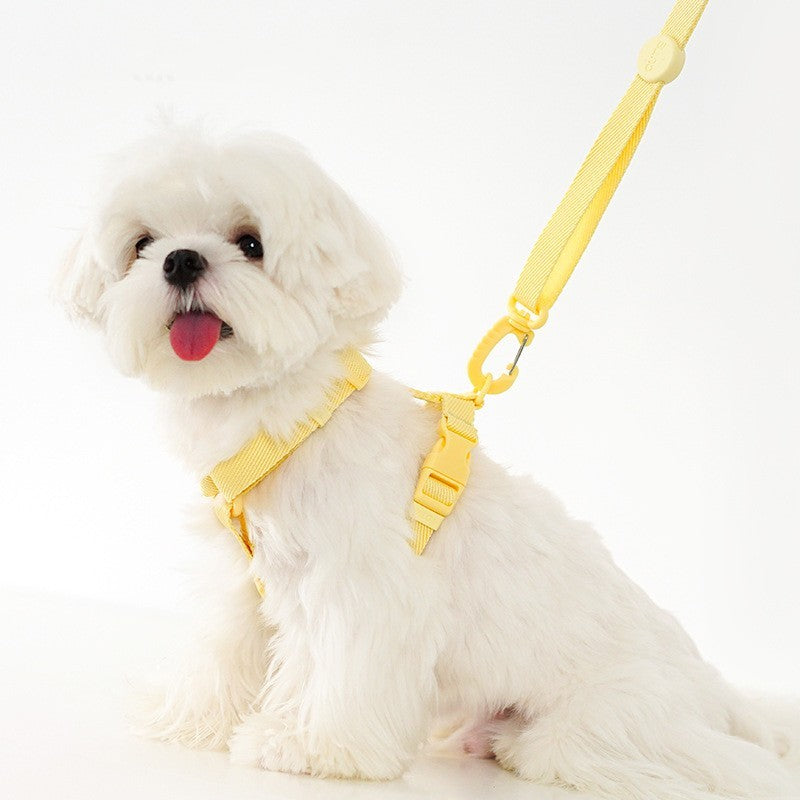 Collar Chest Back Lead Leashe