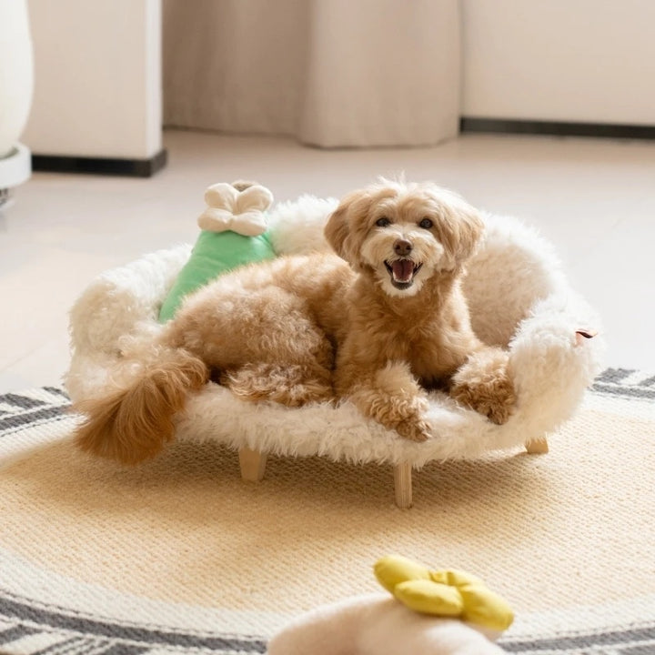 Wooden Pet Bed Dog