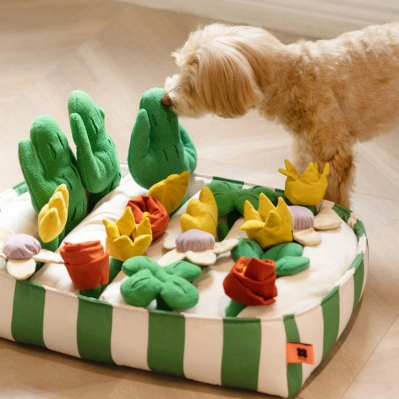 Pet Dog Food Educational Toys