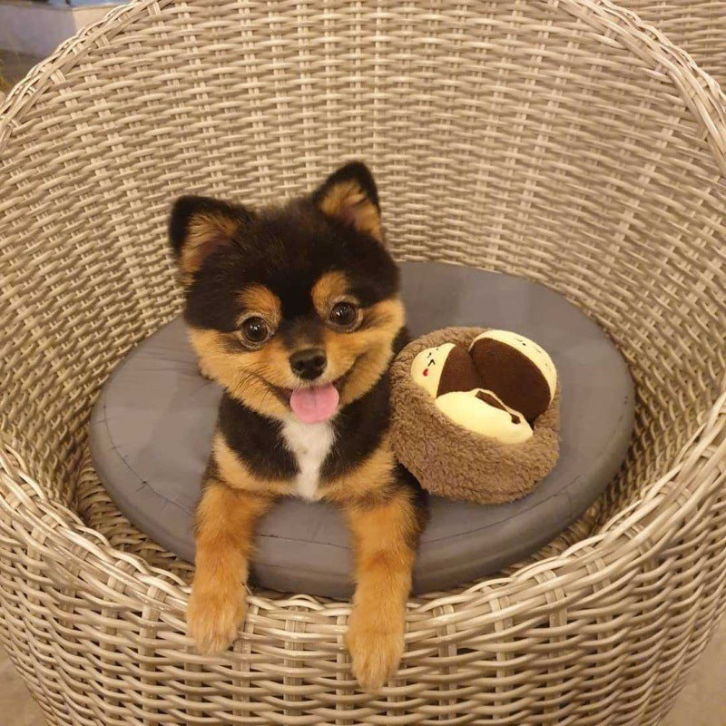 Single Dog Hidden Food Toy