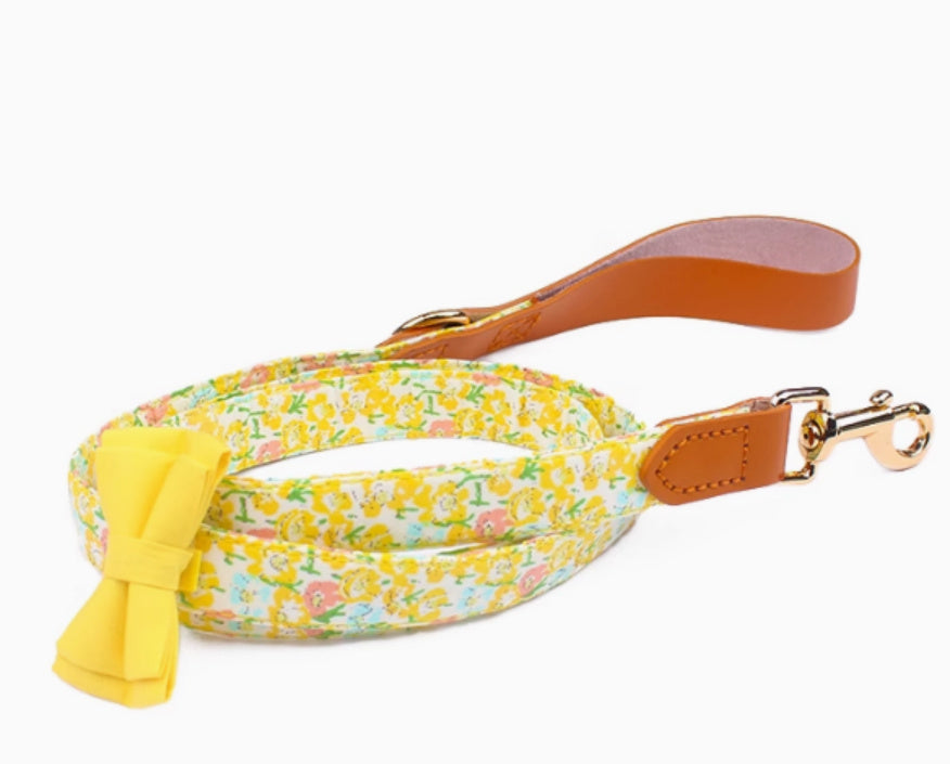 Cowhide Holding Leashe