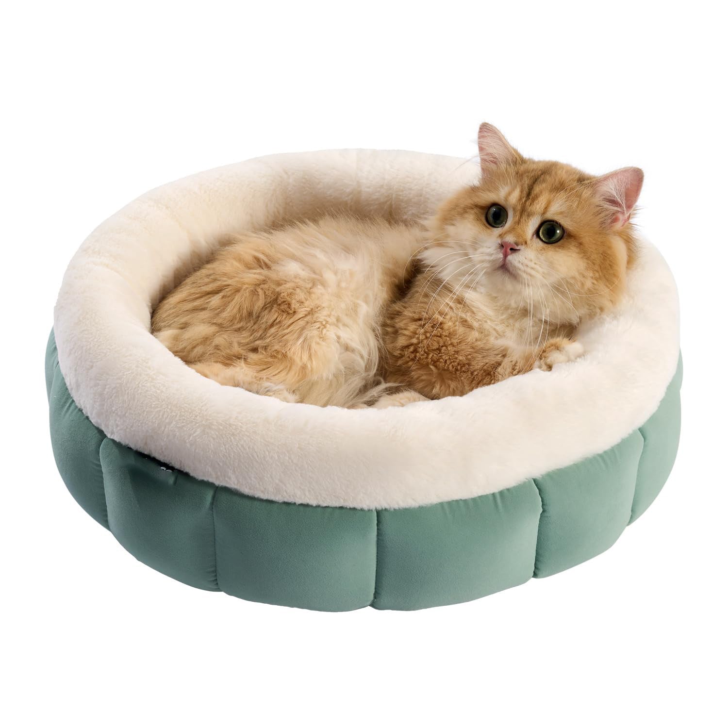 Donut Dog Beds For Small Dog