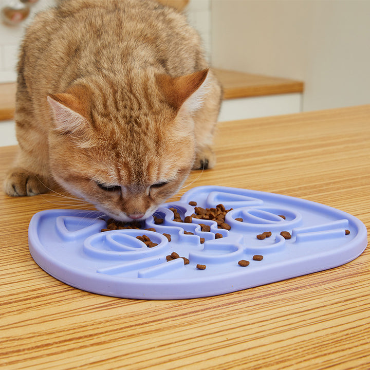 Tongue licking cats slow food bowl