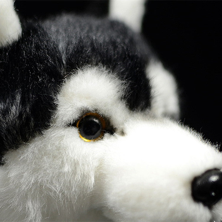 Mandarin Eyes Dog Plush Toys