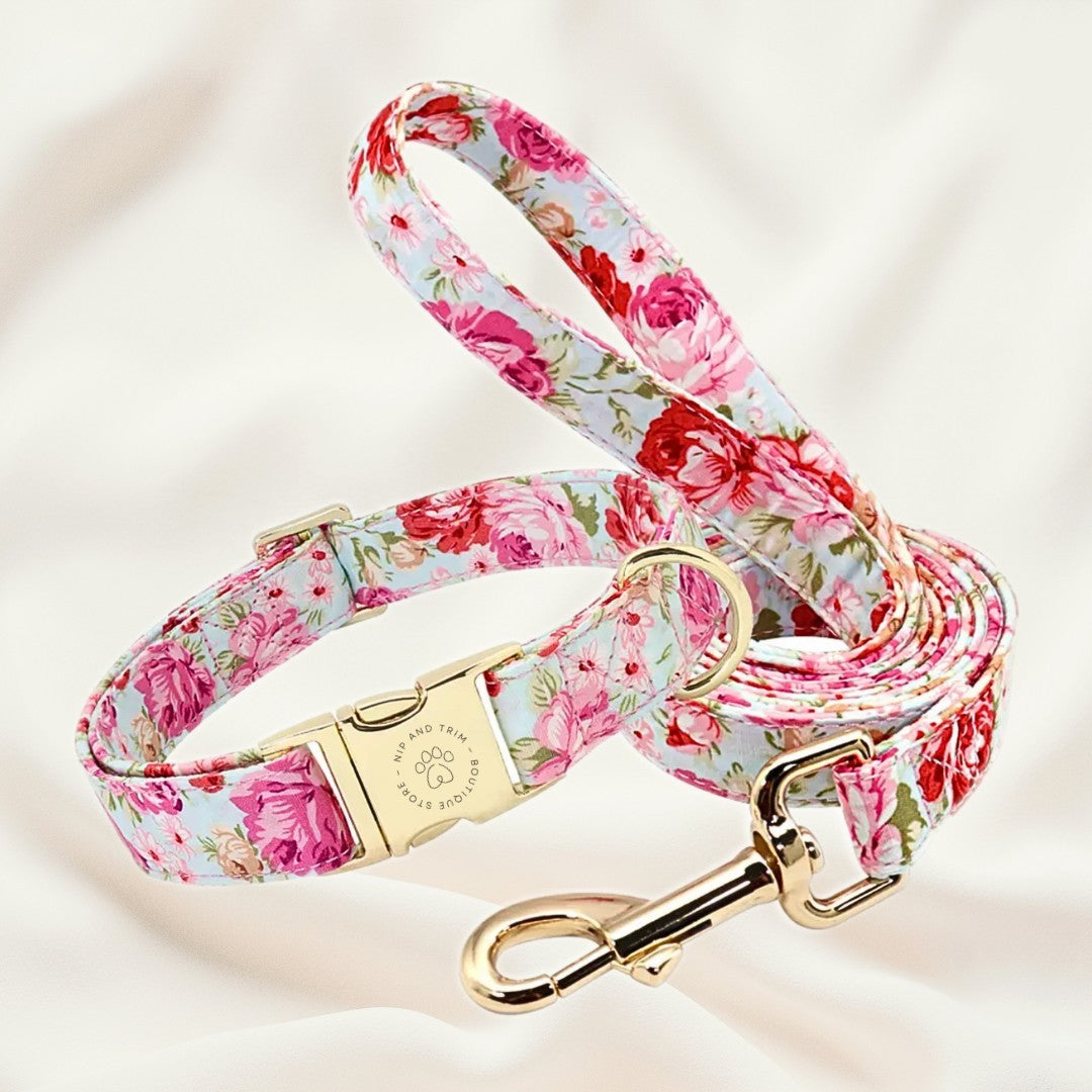 Dog Tag Custom Dog Leashes