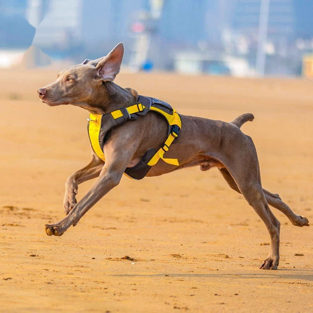 New Dog Chest Strap Vest Style