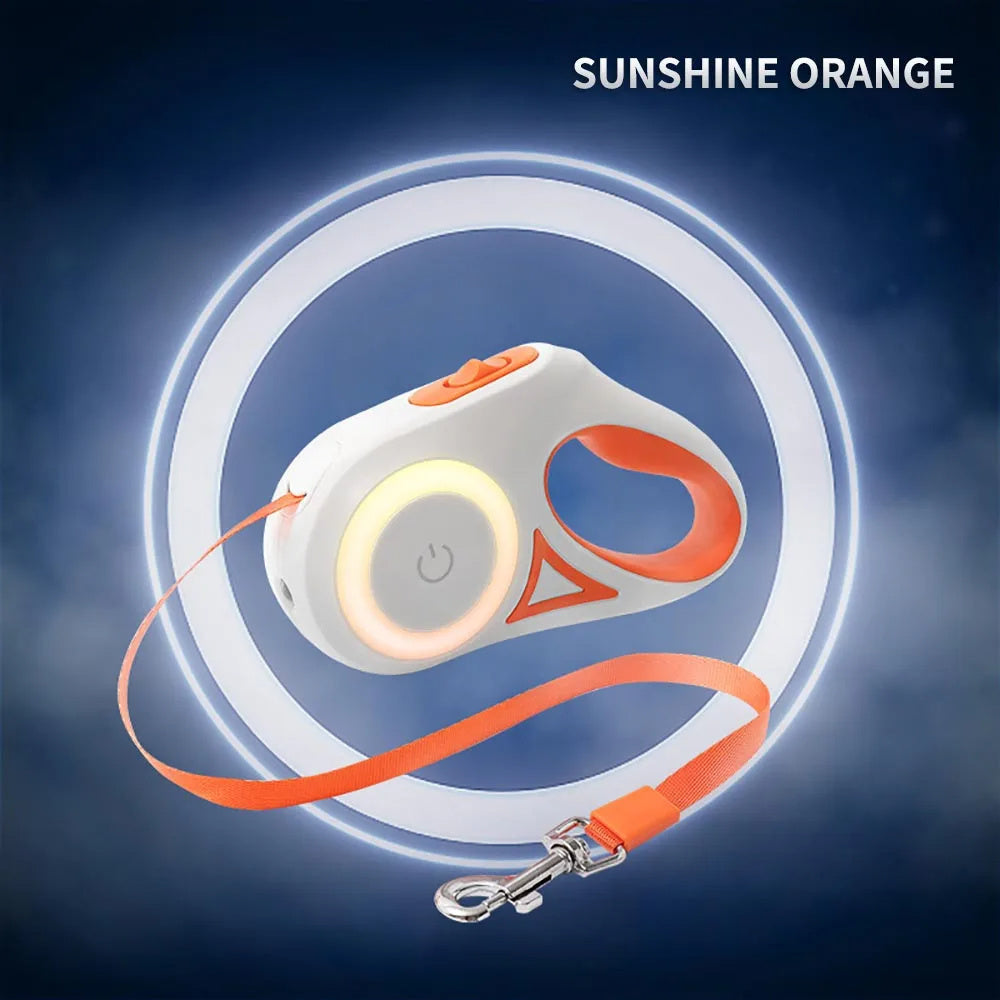 Dog Leash Light Pet Leashe