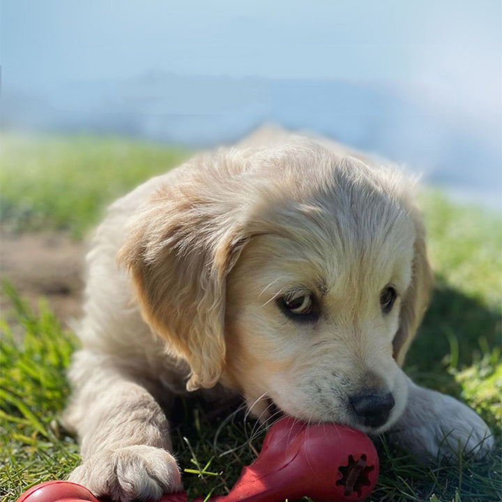 Dog Bite Grinding Toys