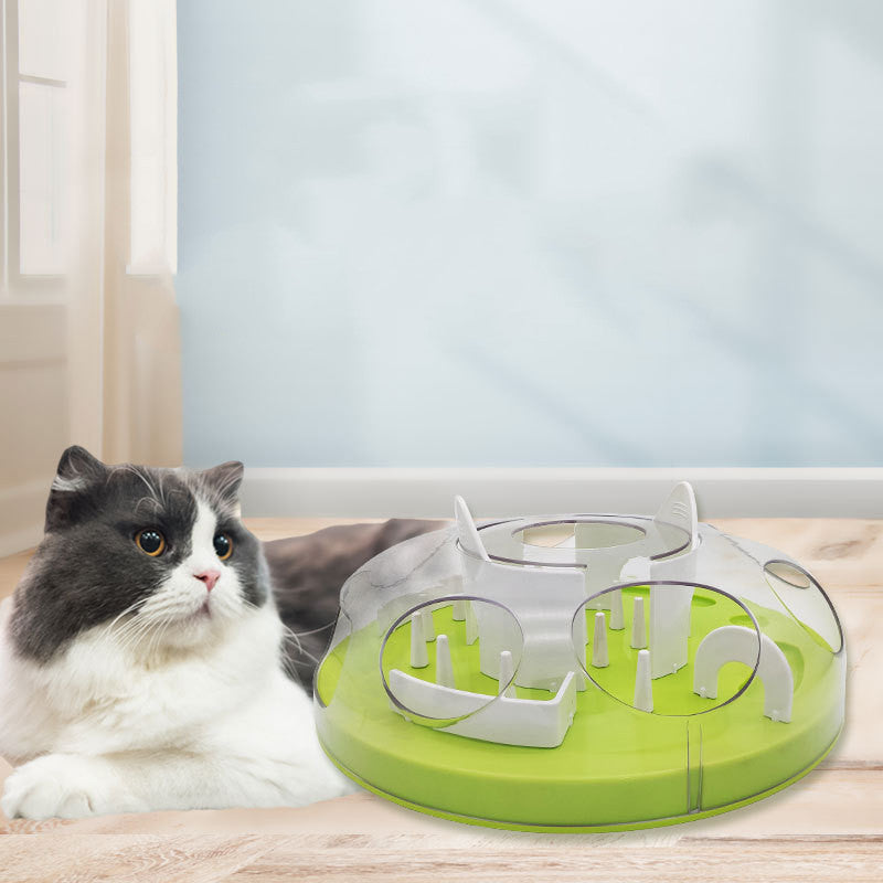 Pet Cat Slow Food Bowl