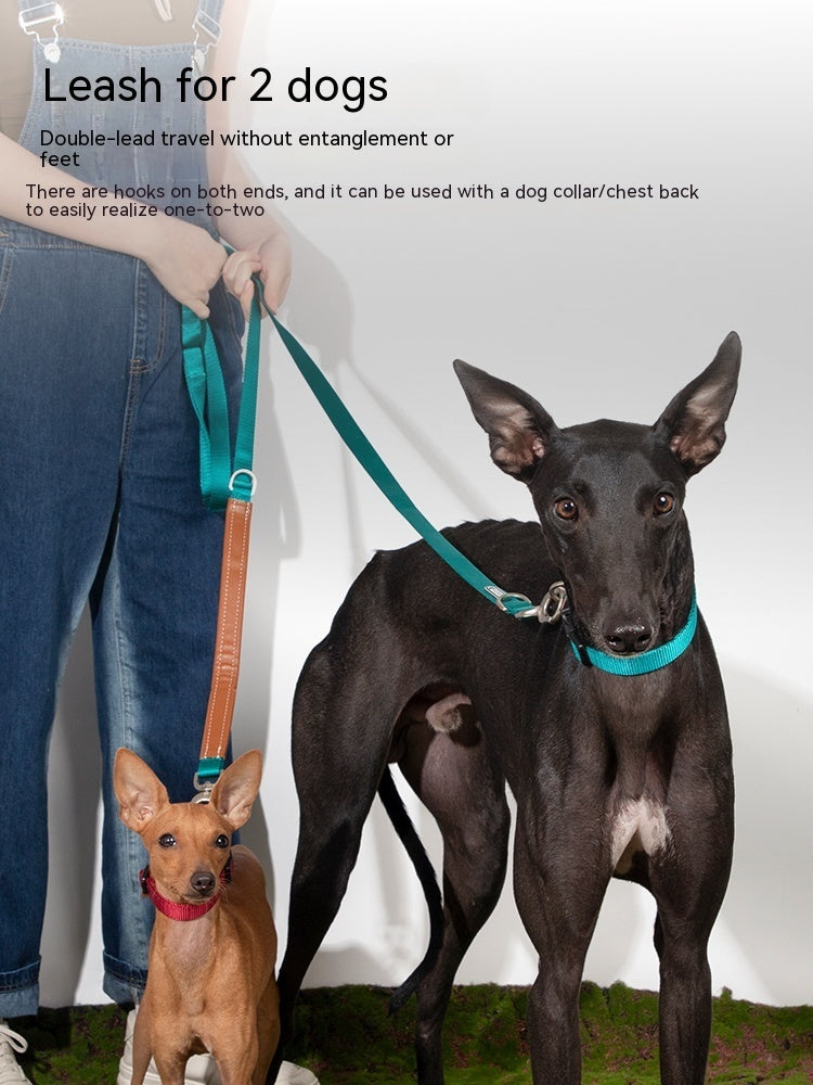 Pet Dog Traction Rope