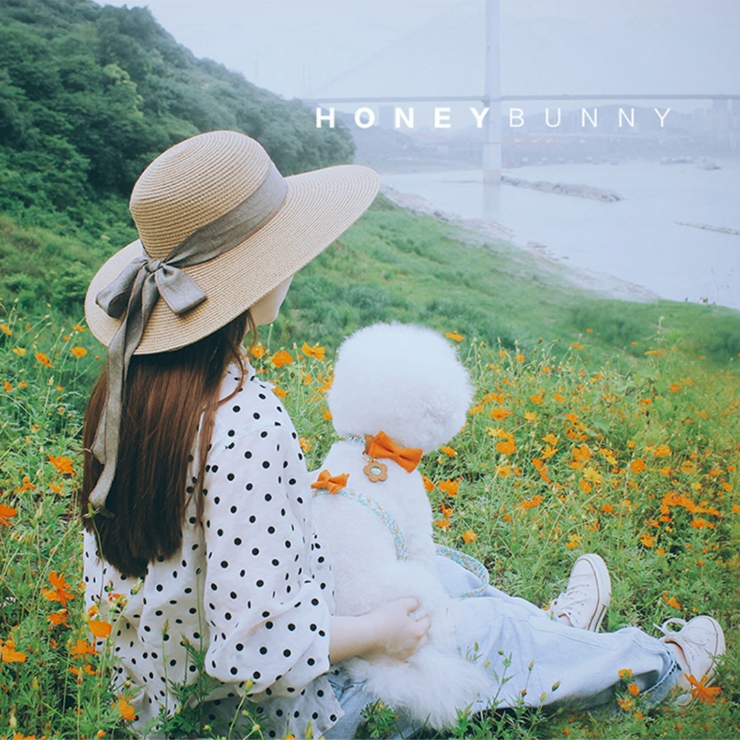 Cowhide Holding Leashe