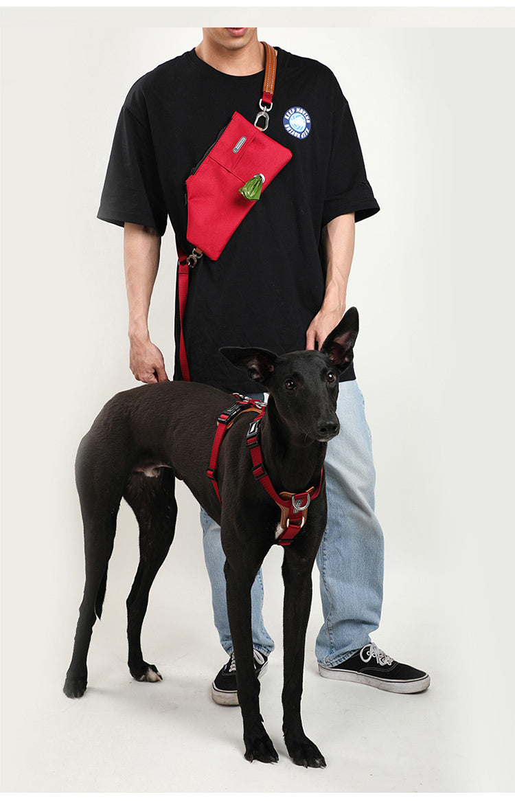 Pet Dog Traction Rope