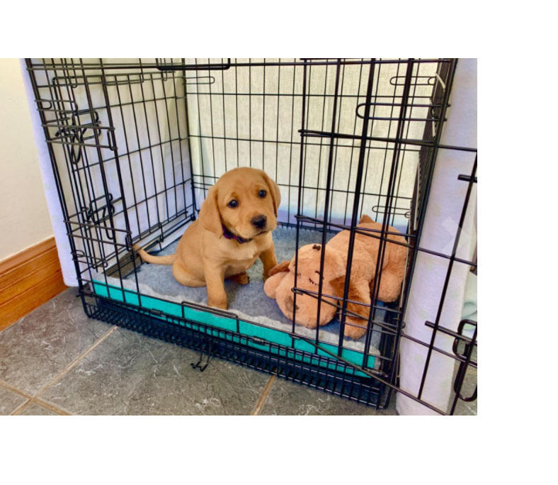 Dog Interactive Heartbeat Plush Toy