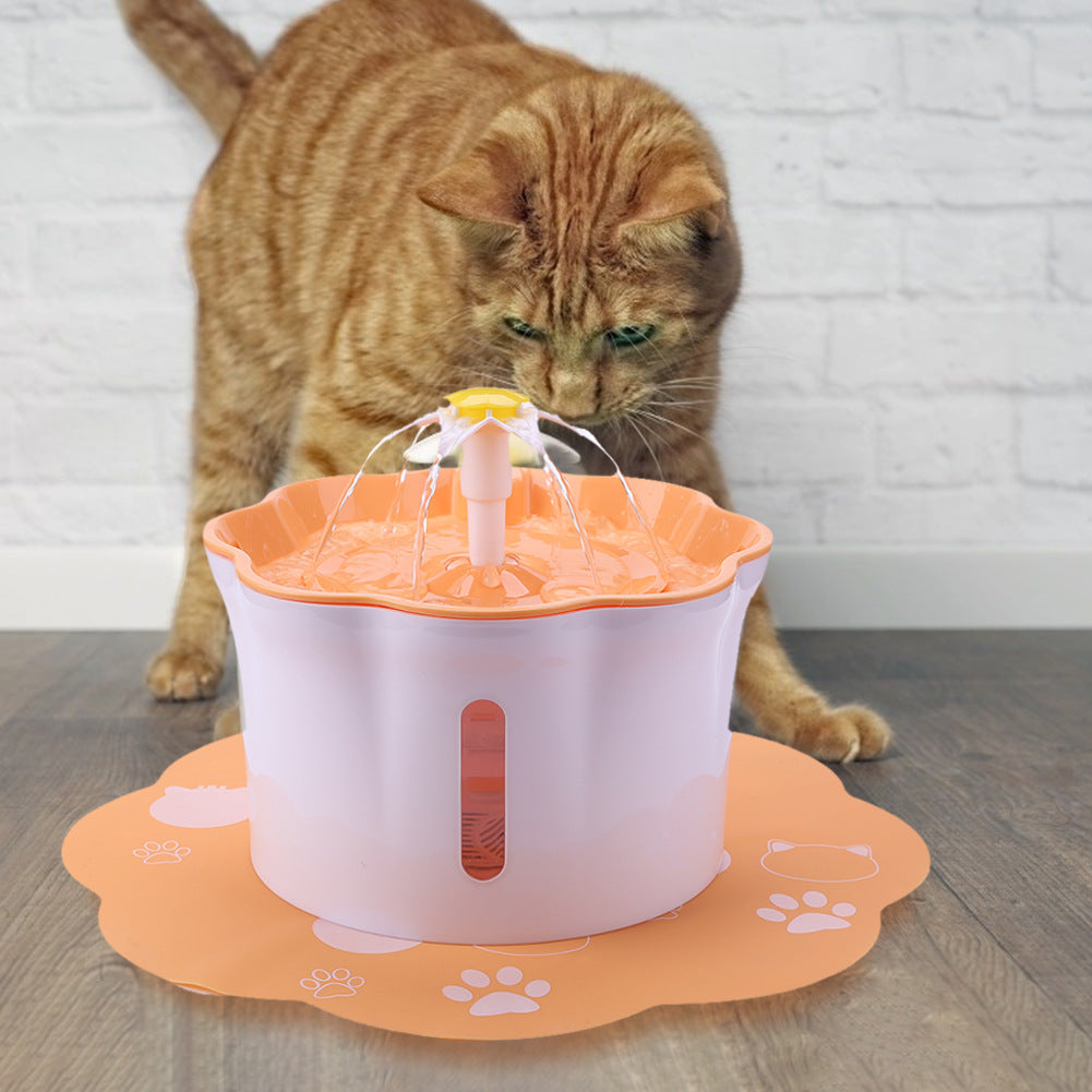 Water feeding for pet