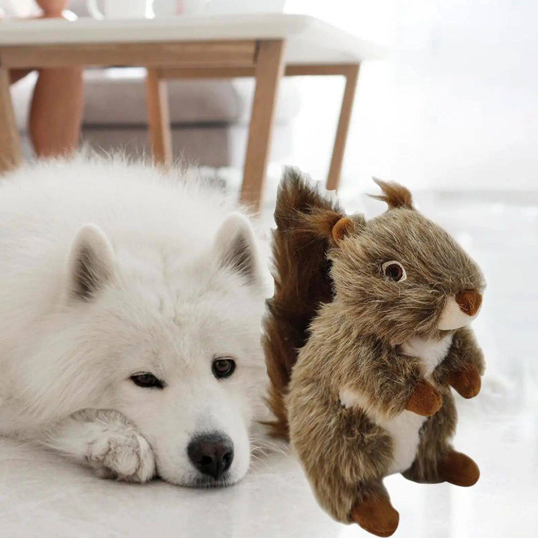 Squeaky Dog Toy Pet Toy