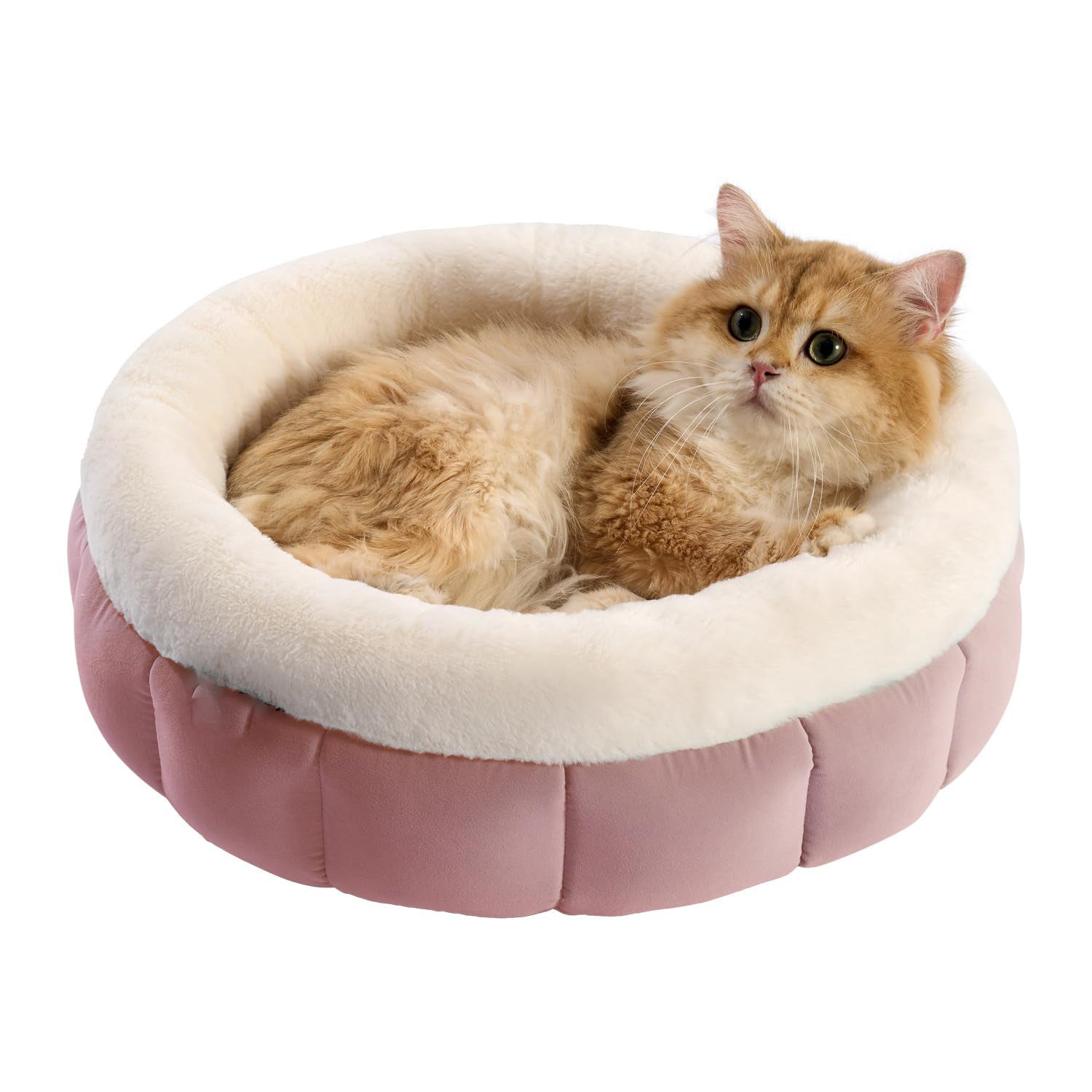 Donut Dog Beds For Small Dog